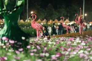 BIB: 
                            <button type="button" onclick="openModal(27337321)" class="btn btn-primary btn-sm float-right btn-popup" data-toggle="modal" data-target=".modal-high-quality">
                        <i class="fas fa-shopping-cart"></i> Add to Cart
                    </button>
                                            <button type="button" onclick="isThisMe(27337321, true)" class="btn btn-success btn-sm float-right btn-popup btn-isme hidden" data-toggle="tooltip" data-placement="bottom" title="นี่คือรูปของคุณใช่ไหม คลิกที่นี่เพื่อเอาเข้าอัลบั้ม">
                        <i class="fas fa-plus"></i> Add to album
                    </button>
                    <button type="button" onclick="isThisMe(27337321, false)" class="btn btn-warning btn-sm float-right btn-popup btn-isnotme hidden">
                        <i class="fas fa-ban"></i> Remove from album
                    </button>